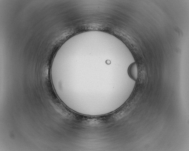 X0000112360310200909031915