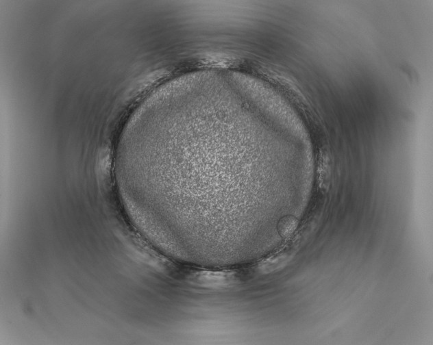 X0000112360314200909031915