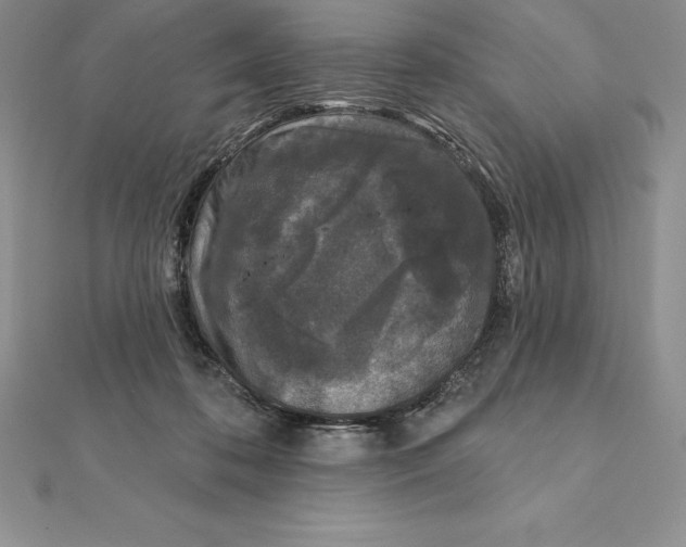 X0000112360316200909031915