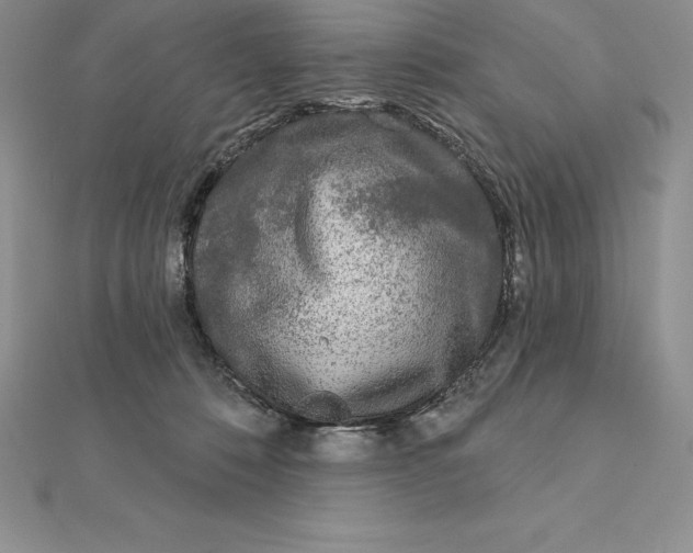 X0000112360320200909031915