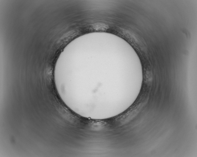 X0000112360321200909031915