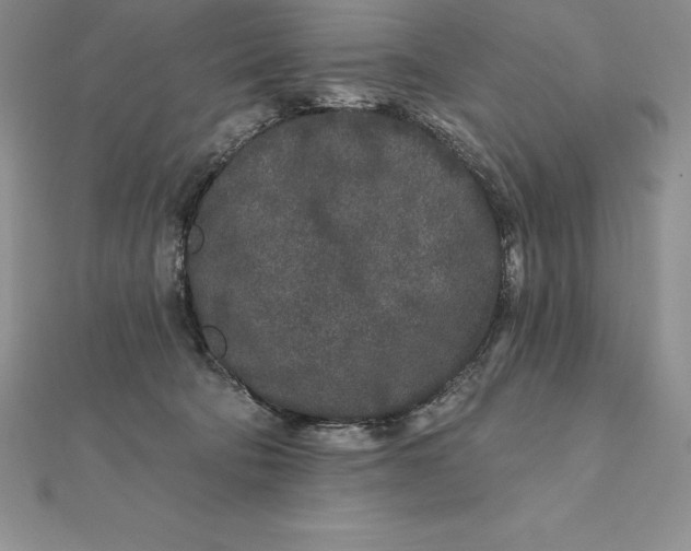X0000112360322200909031915