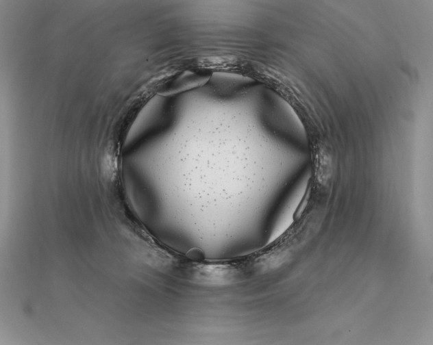 X0000112360324200909031915