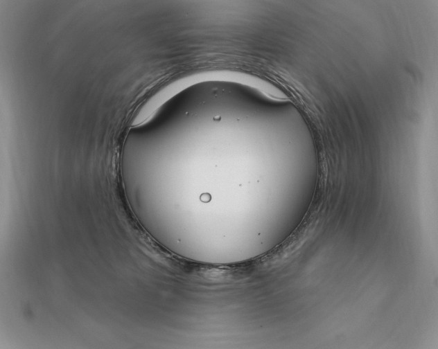 X0000112360325200909031915