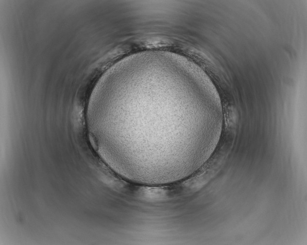 X0000112360327200909031915