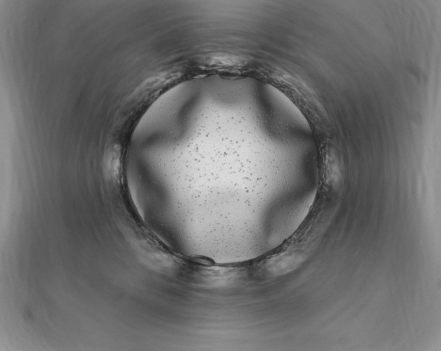 X0000112360328200909031915