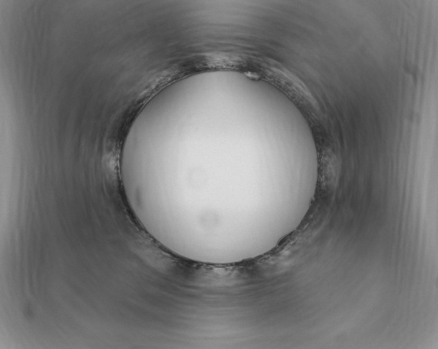 X0000112360329200909031915