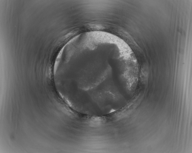 X0000112360330200909031915