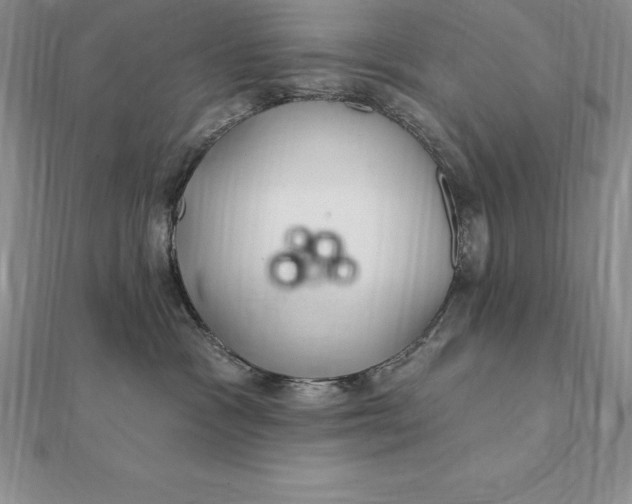 X0000112360333200909031915