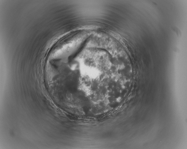 X0000112360337200909031914