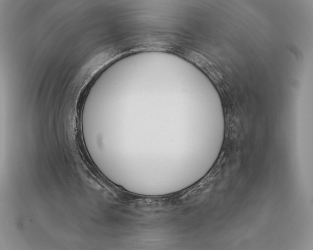 X0000112360338200909031914