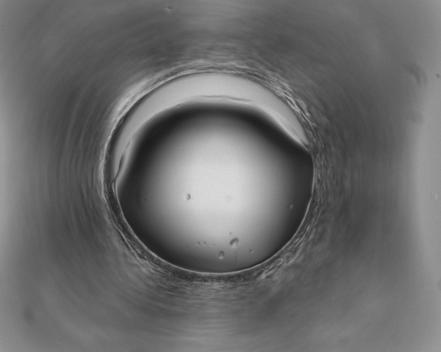 X0000112360340200909031914