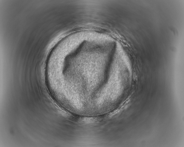 X0000112360341200909031915