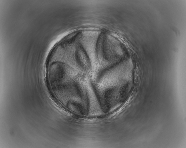 X0000112360342200909031915