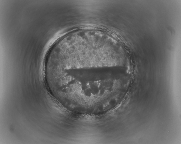 X0000112360343200909031915