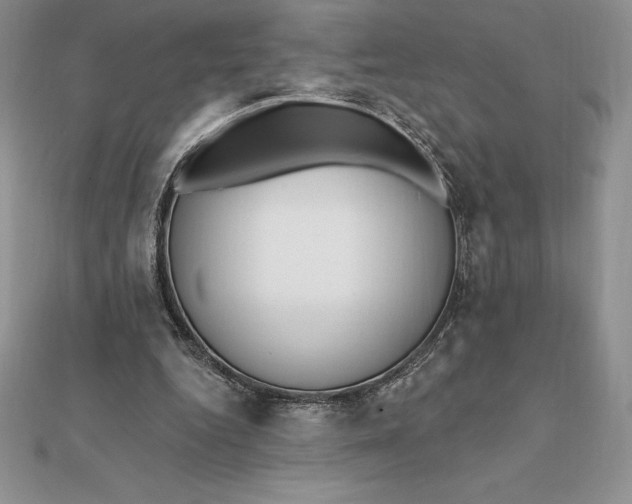 X0000112360344200909031915