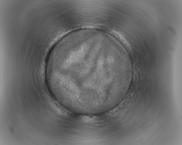 X0000112360346200909031915
