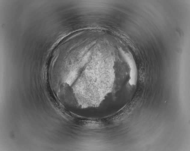 X0000112360347200909031915