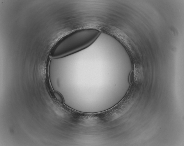 X0000112360348200909031915