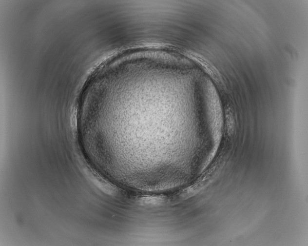 X0000112360350200909031915