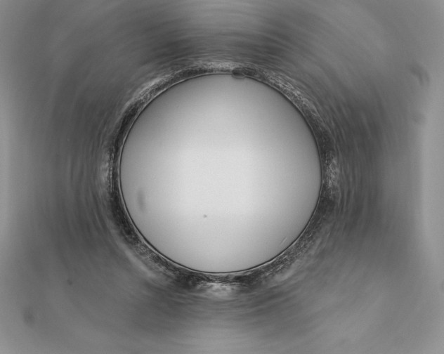 X0000112360352200909031915