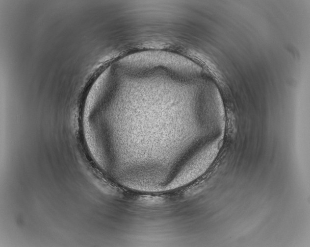 X0000112360354200909031915