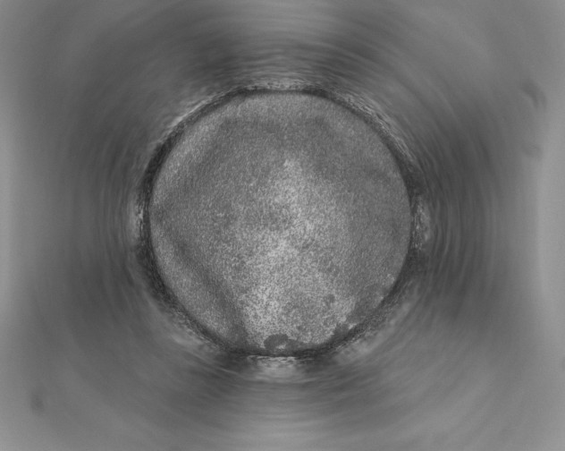 X0000112360355200909031915