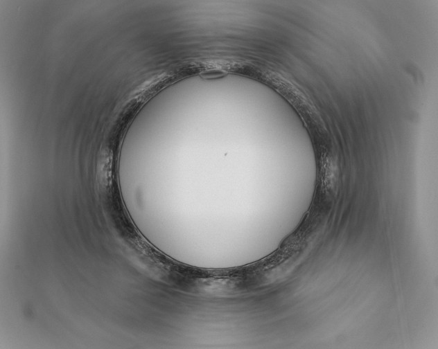X0000112360356200909031915