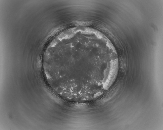 X0000112360357200909031915