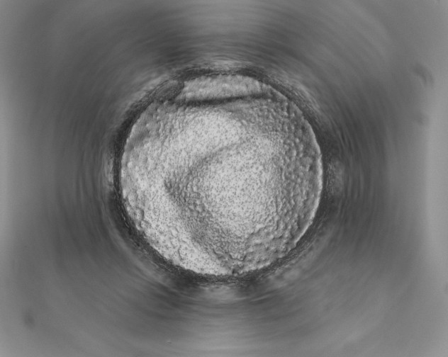 X0000112360358200909031915