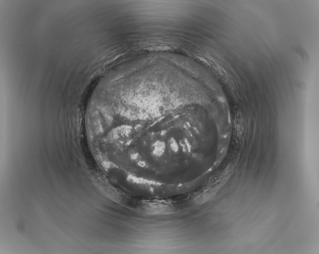 X0000112360359200909031915