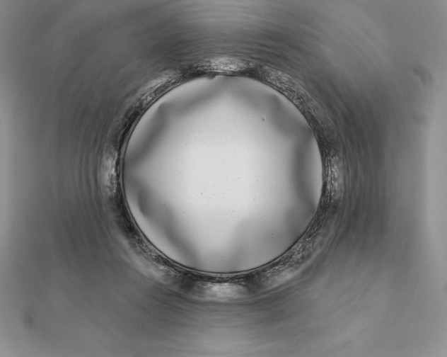 X0000112360360200909031915