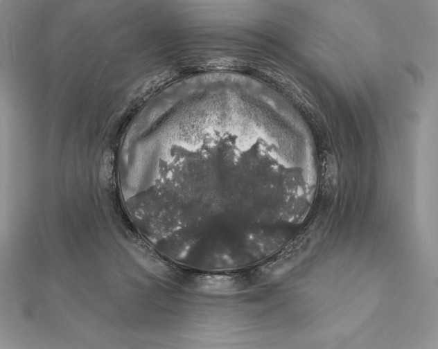 X0000112360361200909031915