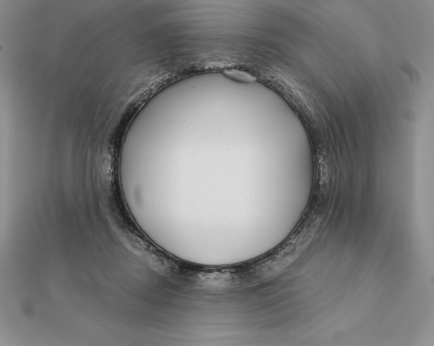 X0000112360362200909031915