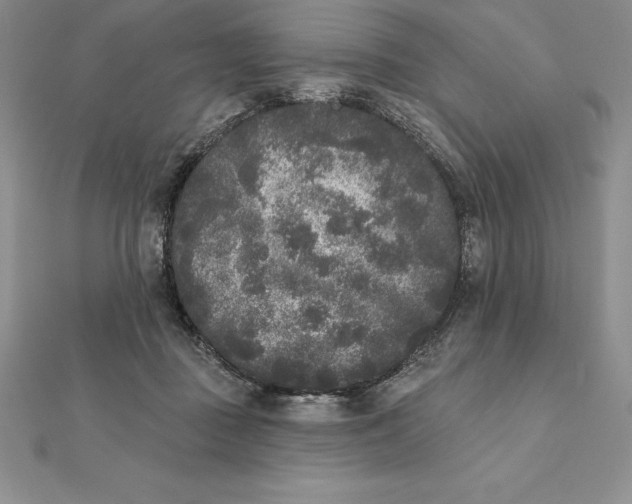 X0000112360363200909031915