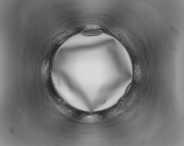 X0000112360364200909031915
