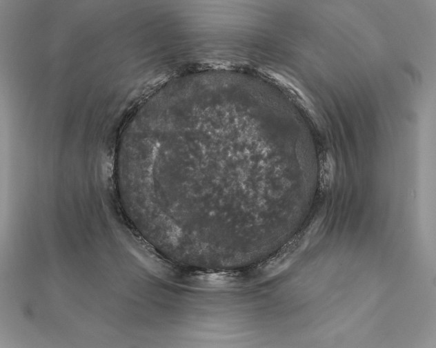 X0000112360365200909031915