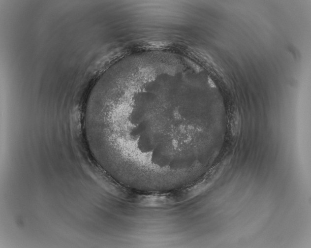 X0000112360366200909031915