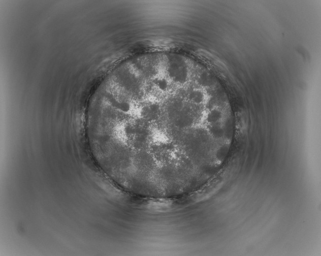 X0000112360369200909031915
