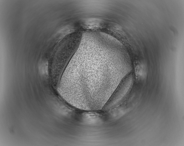X0000112360372200909031915