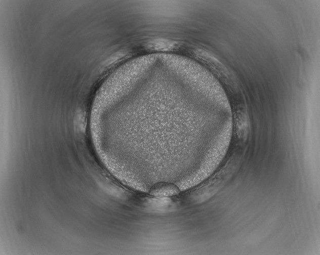 X0000112360374200909031915