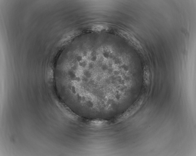 X0000112360375200909031915