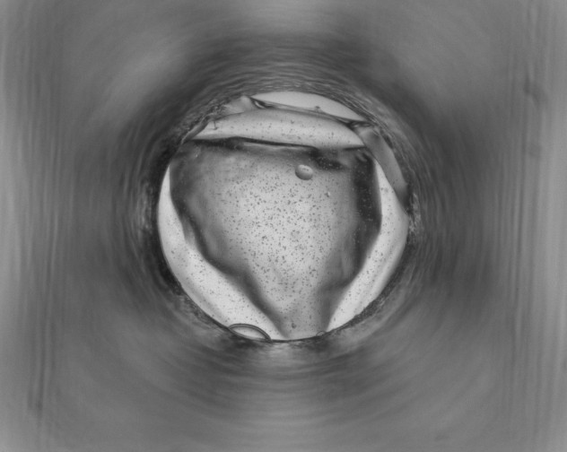 X0000112360382200909031915