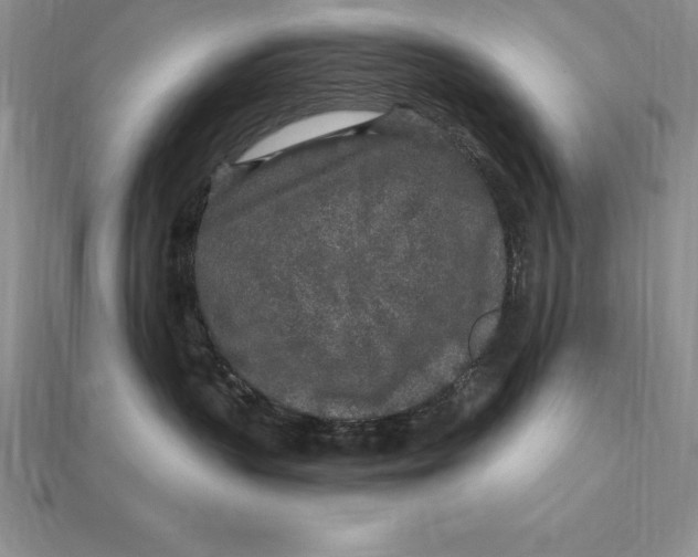 X0000112360383200909031915