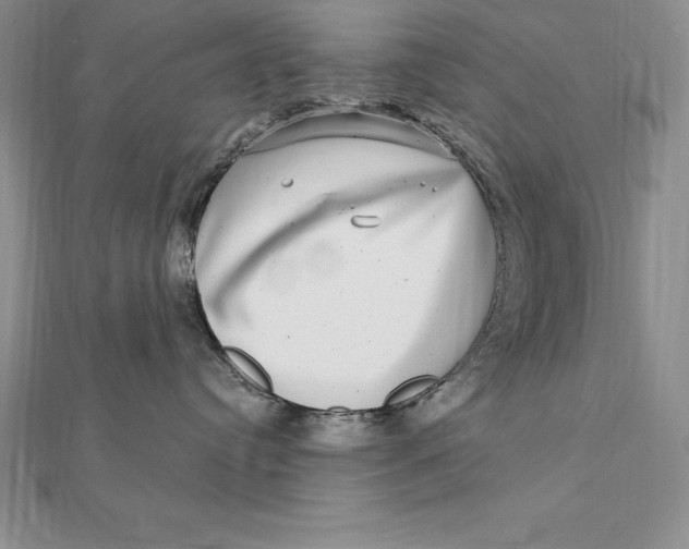 X0000112360384200909031915