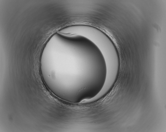 X0000112360385200909031914