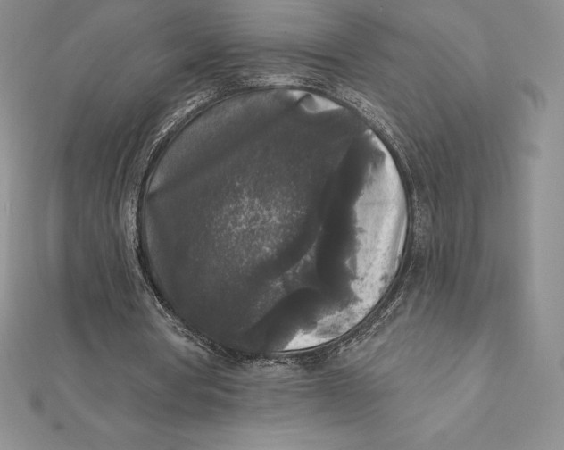 X0000112360386200909031914