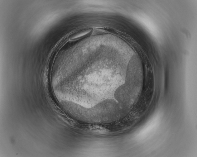 X0000112360387200909031914