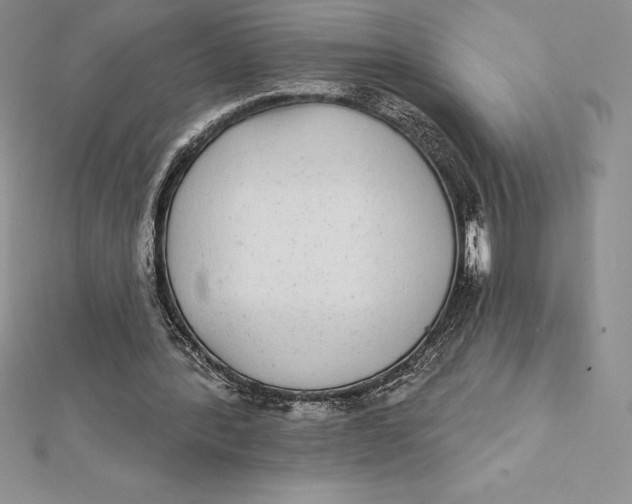 X0000112360388200909031914