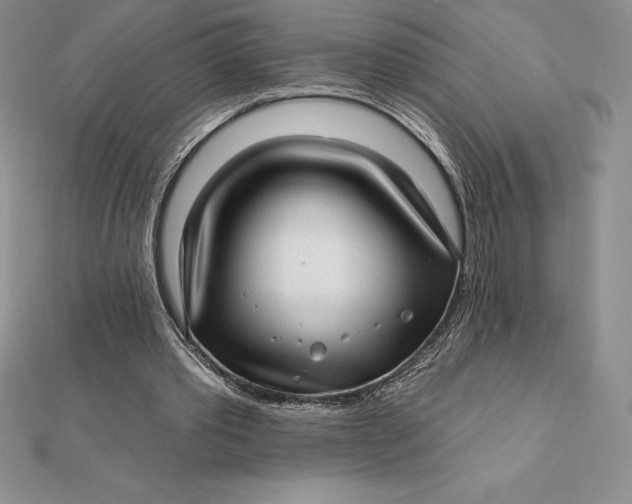 X0000112360389200909031914